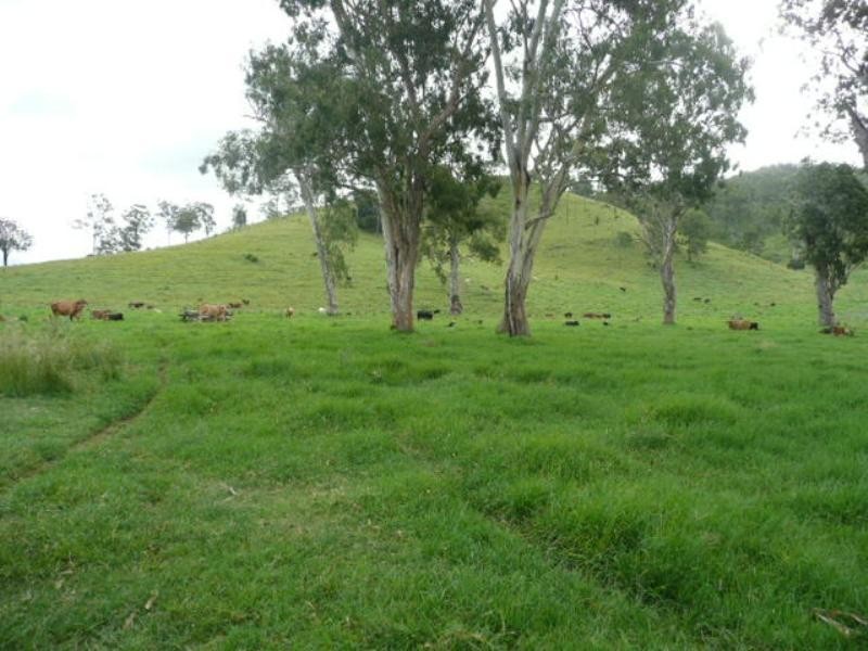 Palen Creek QLD 4287