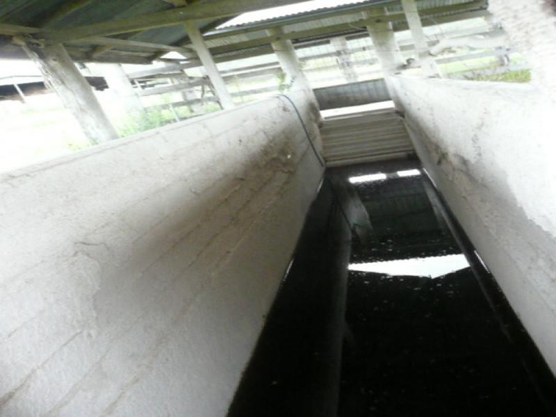 Palen Creek QLD 4287