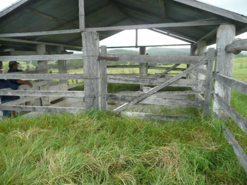 Palen Creek QLD 4287