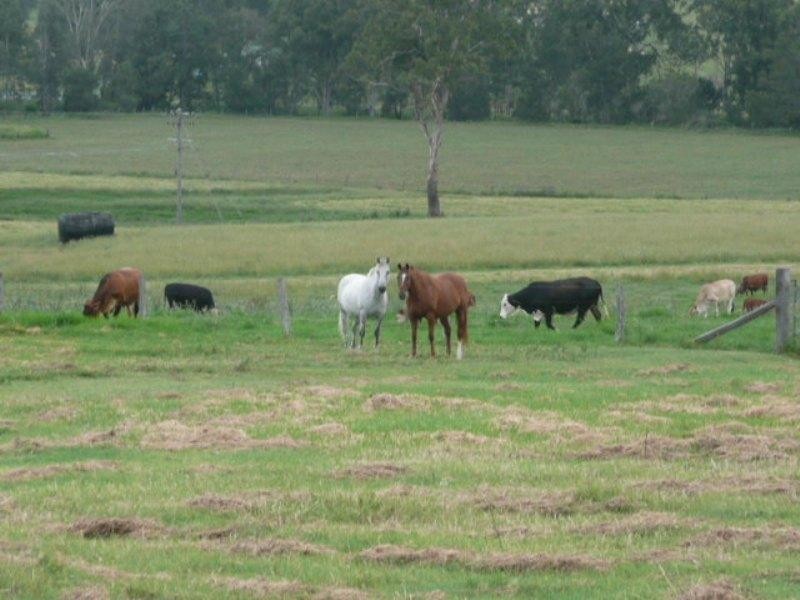 Palen Creek QLD 4287