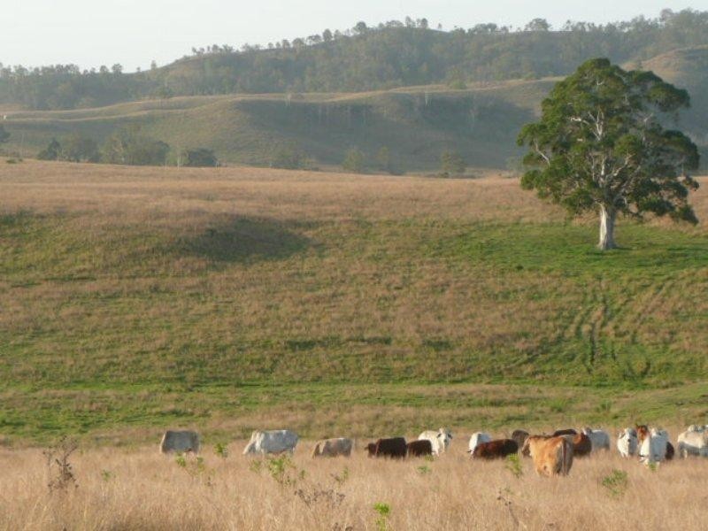 Laravale QLD 4285