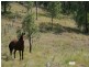 225 Worip Drive, Veresdale QLD 4285