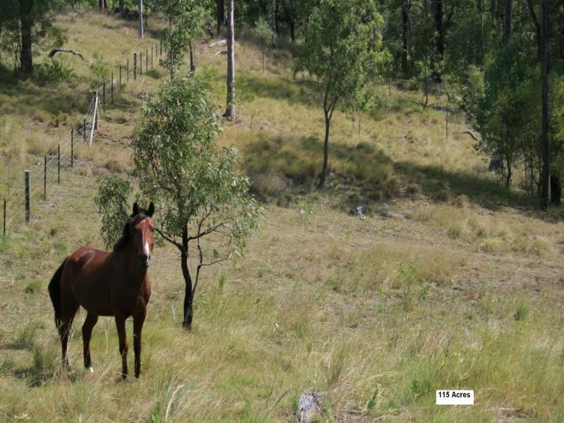 225 Worip Drive, Veresdale QLD 4285