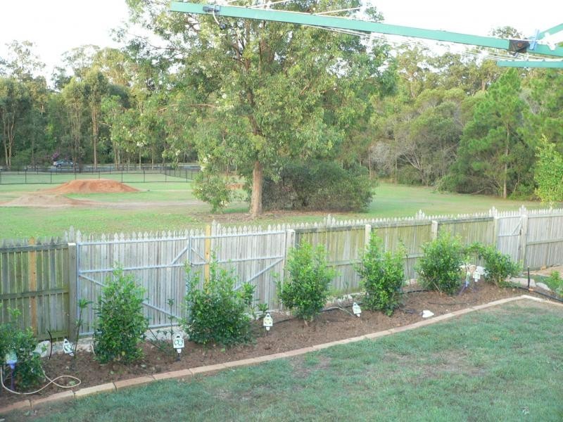 37 Surround Street, Dakabin QLD 4503