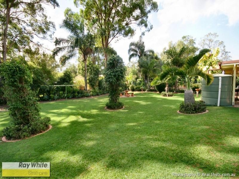 29 Owen Ct, Narangba QLD 4504