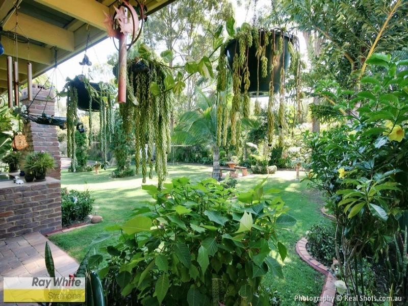 29 Owen Ct, Narangba QLD 4504