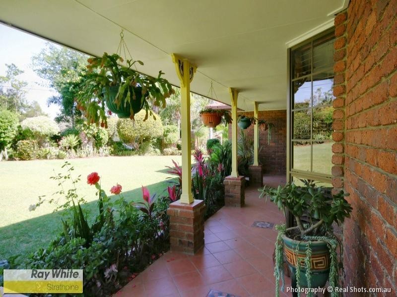 29 Owen Ct, Narangba QLD 4504