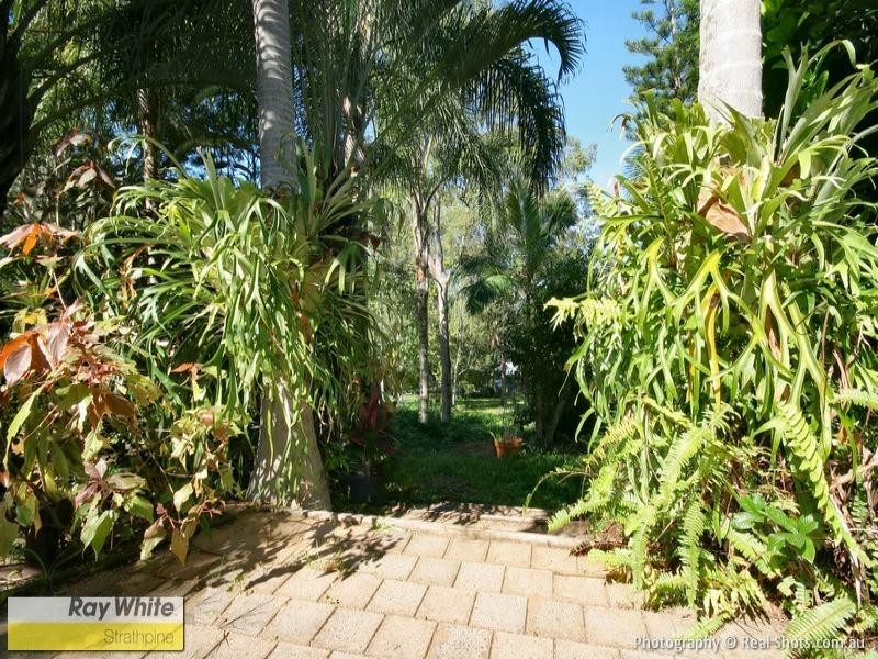 13 Duncombe Rd, Narangba QLD 4504