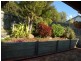 19 Fitzroy Crescent, Murrumba Downs QLD 4503