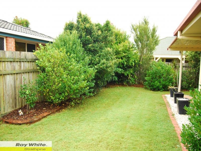 77 Pine River Drive, Murrumba Downs QLD 4503