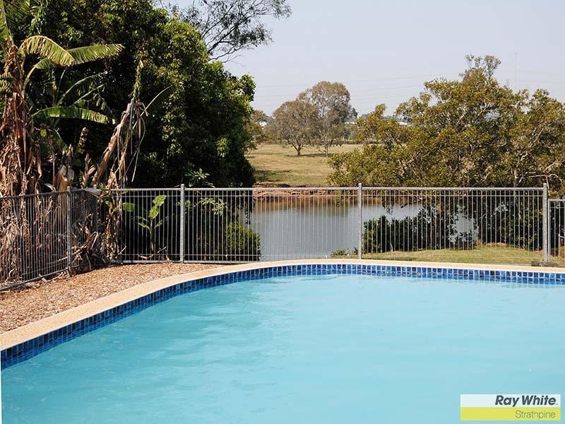 66 Learmonth St, Strathpine QLD 4500