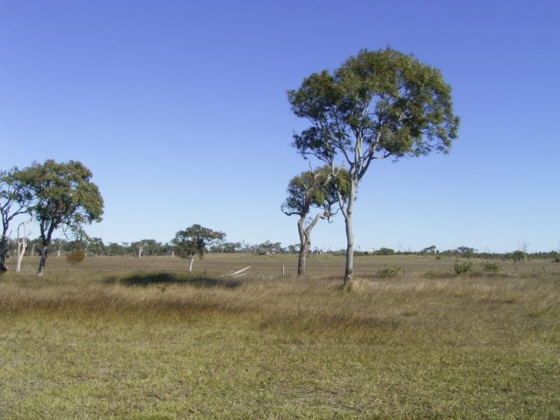 4 Ashley Place, Innes Park QLD 4670