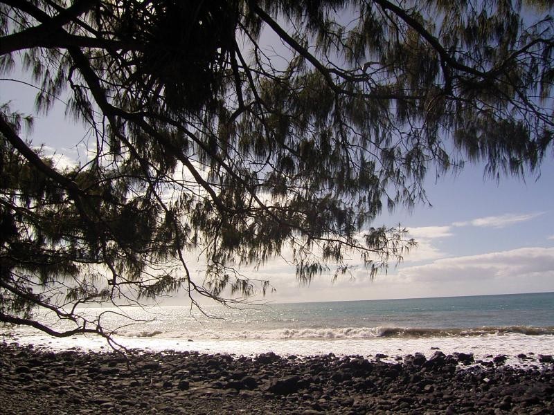 137 Woongarra Scenic Drive, Bargara QLD 4670