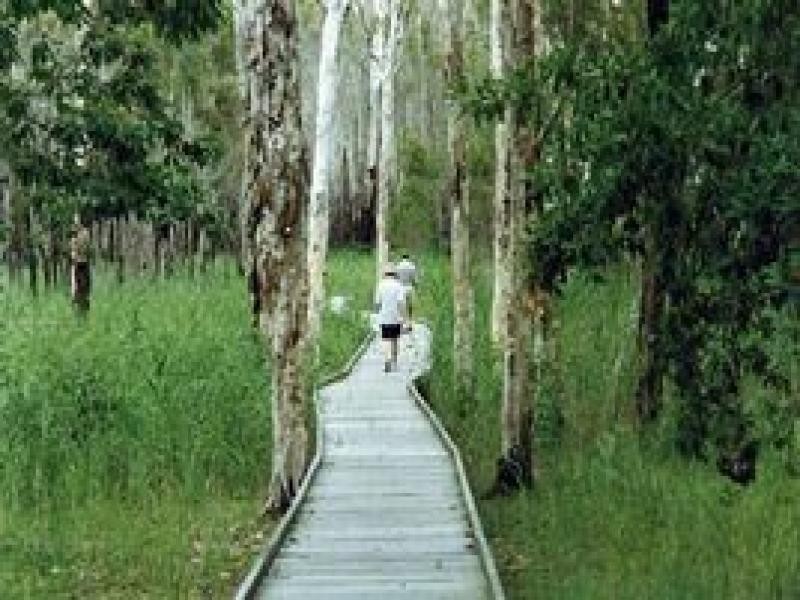 9/151 Esplanade, Woodgate QLD 4660