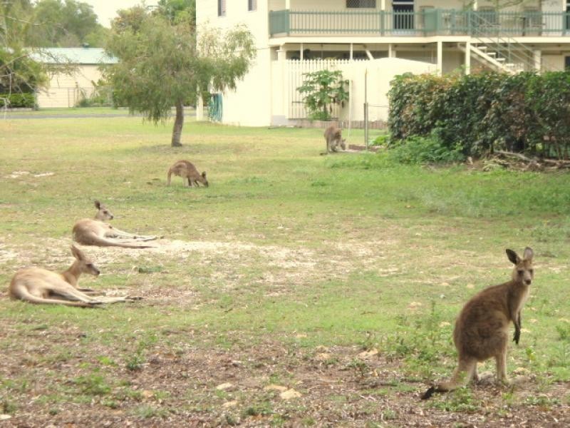 9/151 Esplanade, Woodgate QLD 4660