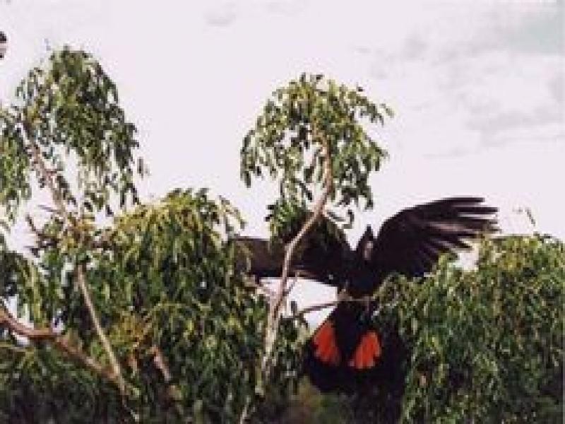 9/151 Esplanade, Woodgate QLD 4660