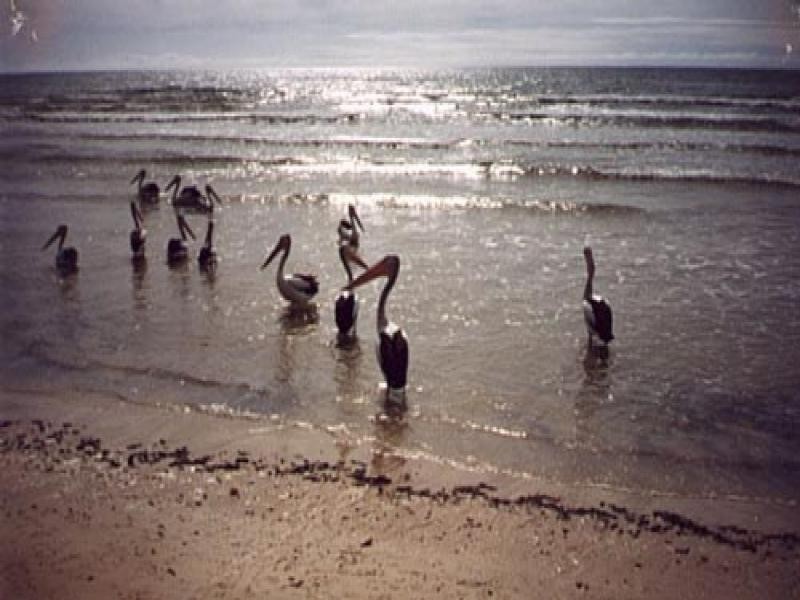 9/151 Esplanade, Woodgate QLD 4660