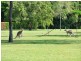 55 Currawong Road, Gooburrum QLD 4670