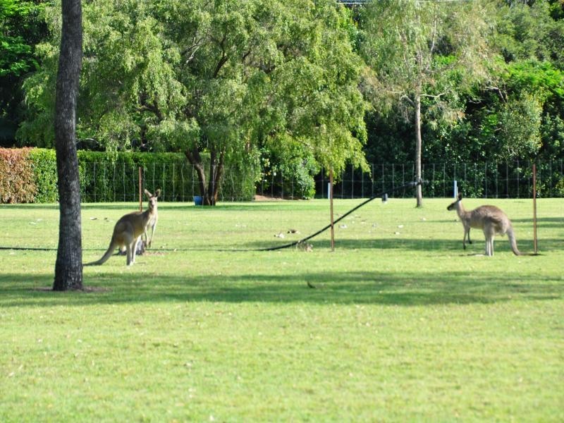 55 Currawong Road, Gooburrum QLD 4670
