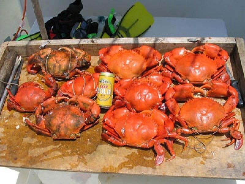 13 Firefly St, Bargara Views, Bargara QLD 4670