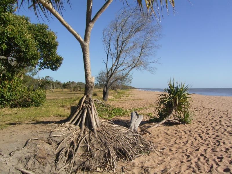 14 Cycad Court, Moore Park Beach QLD 4670