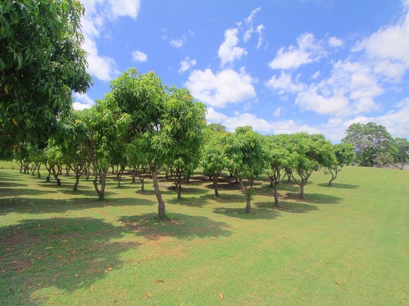 66 Hanbury Street, Bundaberg North QLD 4670