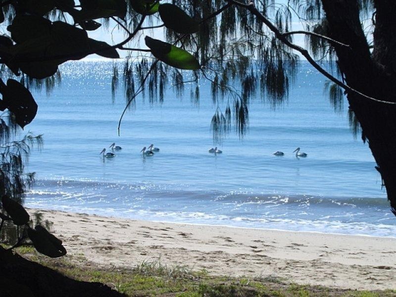 20 Corser Street, Burnett Heads QLD 4670