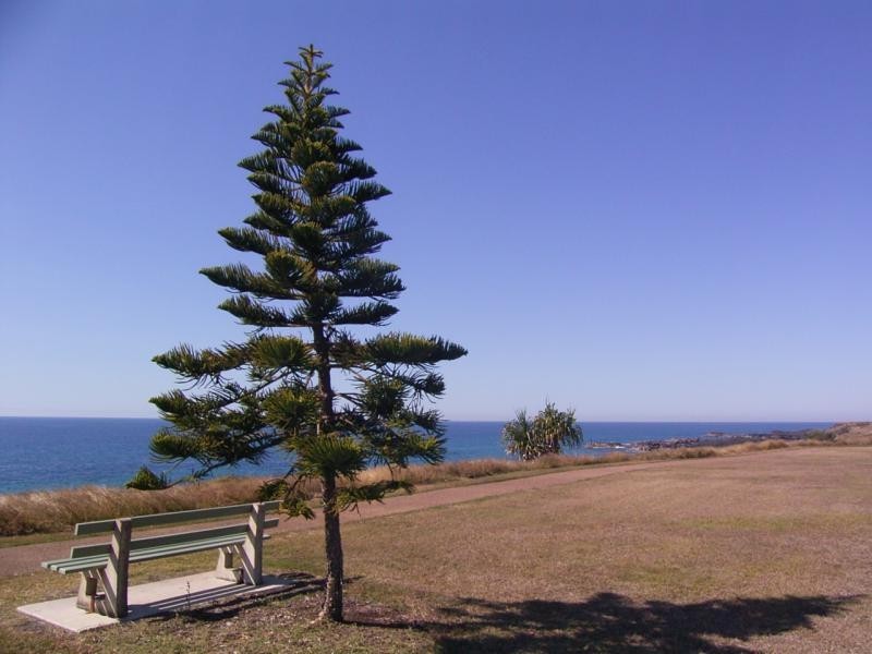 10 Selmar pl, Innes Park QLD 4670