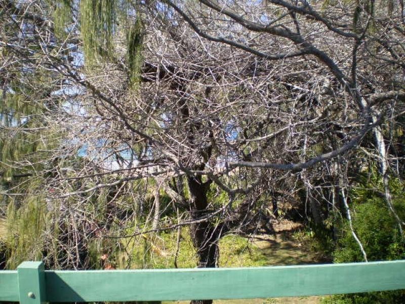 12 Miller Street, Bargara QLD 4670