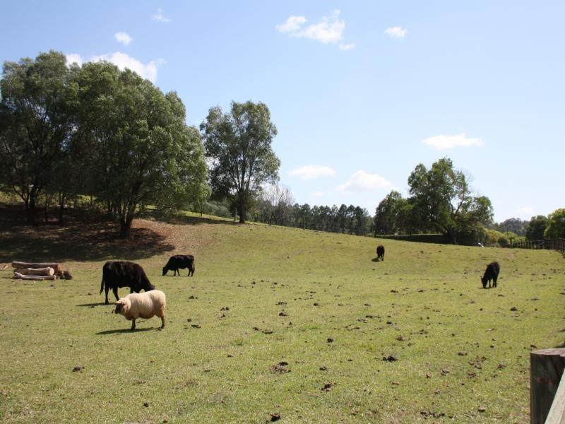 112 Christopher St, Pimpama QLD 4209