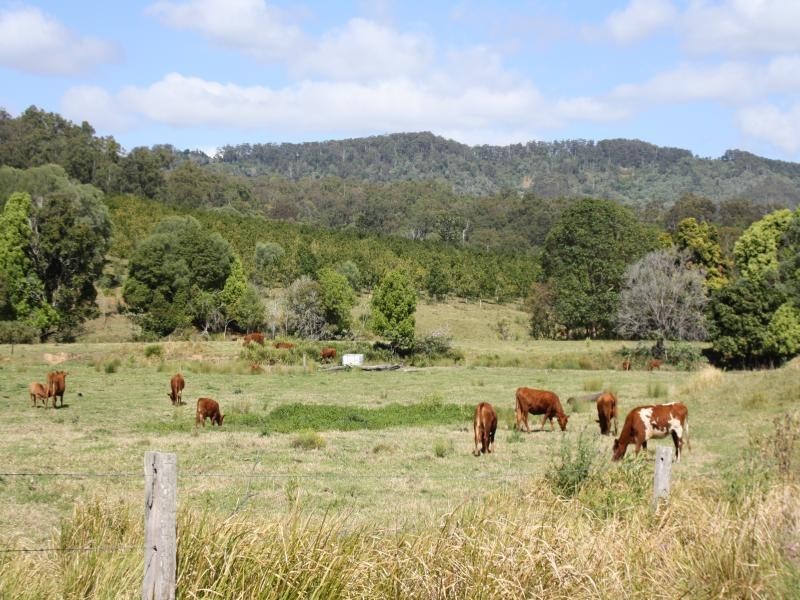 6/112 Christopher St, Pimpama QLD 4209