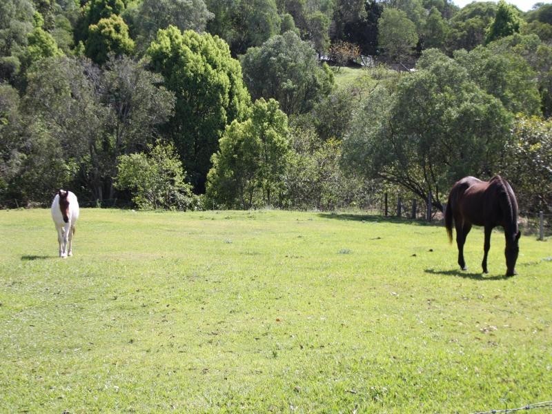 6/112 Christopher St, Pimpama QLD 4209