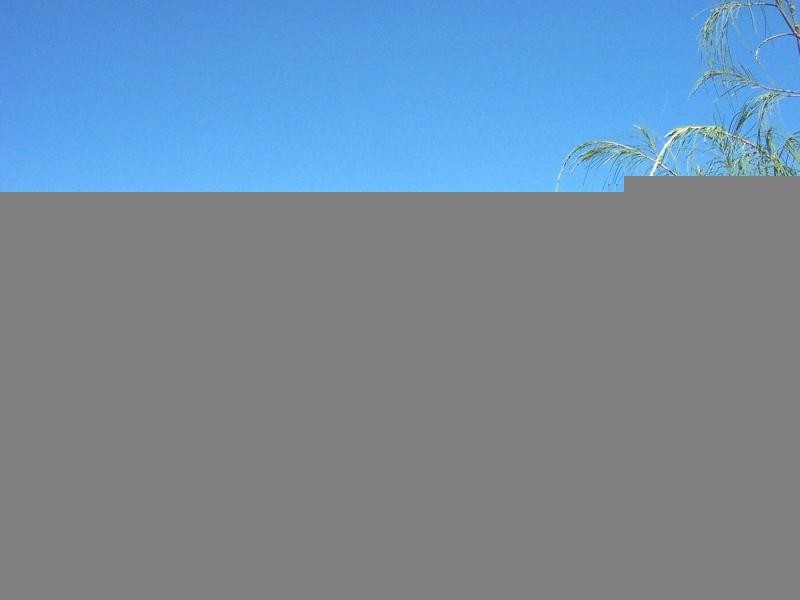 16 Pandanus Crescent, Innes Park QLD 4670