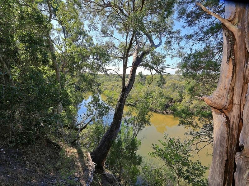 133 Davenport Drive, Coonarr QLD 4670