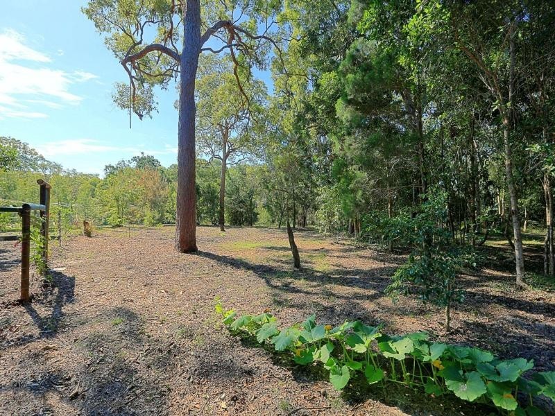 133 Davenport Drive, Coonarr QLD 4670