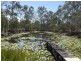 79 Petersens Road, Yandaran QLD 4673