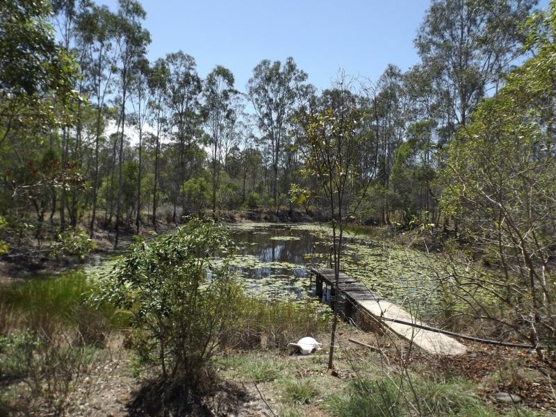 79 Petersens Road, Yandaran QLD 4673