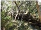 79 Petersens Road, Yandaran QLD 4673