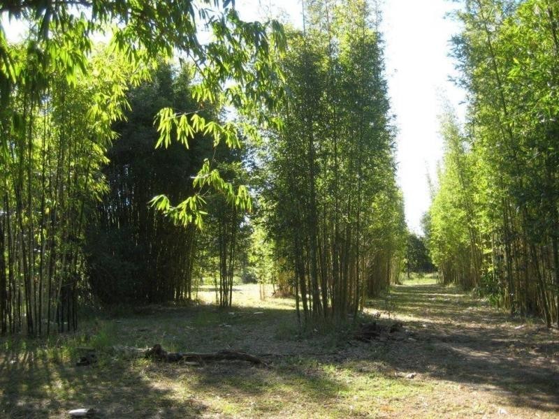 640 Coonarr Rd, Coonarr QLD 4670