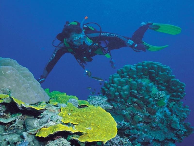 206 Woongarra Scenic Dr, Bargara QLD 4670