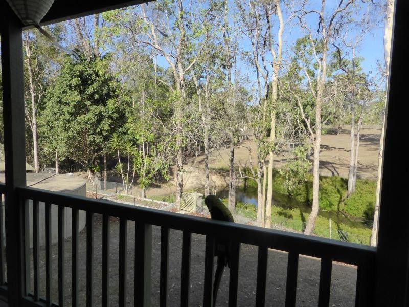 15 Tanderra Drive, South Kolan QLD 4670