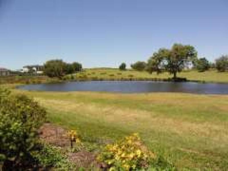 19 Bisdee Street, Coral Cove QLD 4670