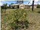 6 Fern Tree Drive, Coonarr QLD 4670