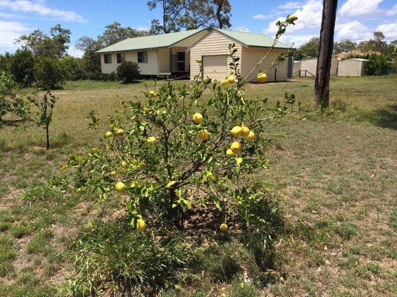 6 Fern Tree Drive, Coonarr QLD 4670