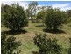 6 Fern Tree Drive, Coonarr QLD 4670