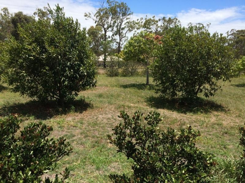 6 Fern Tree Drive, Coonarr QLD 4670