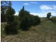 6 Fern Tree Drive, Coonarr QLD 4670