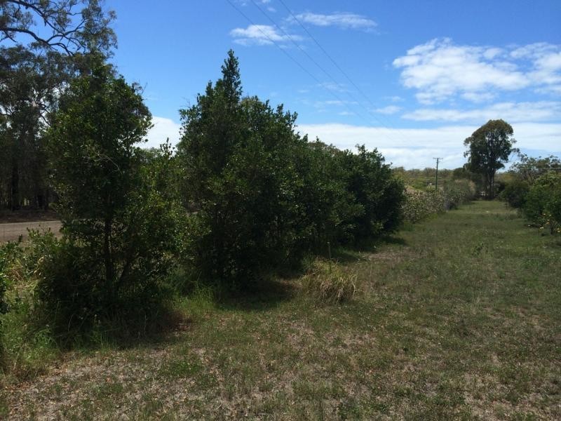 6 Fern Tree Drive, Coonarr QLD 4670