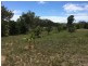 6 Fern Tree Drive, Coonarr QLD 4670