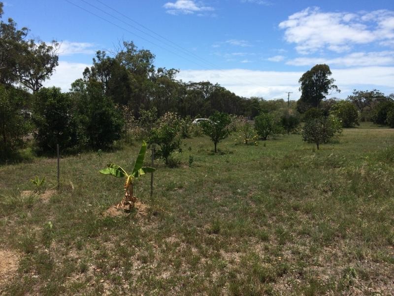 6 Fern Tree Drive, Coonarr QLD 4670
